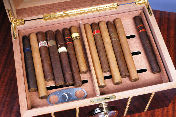 example of a cigar humidor